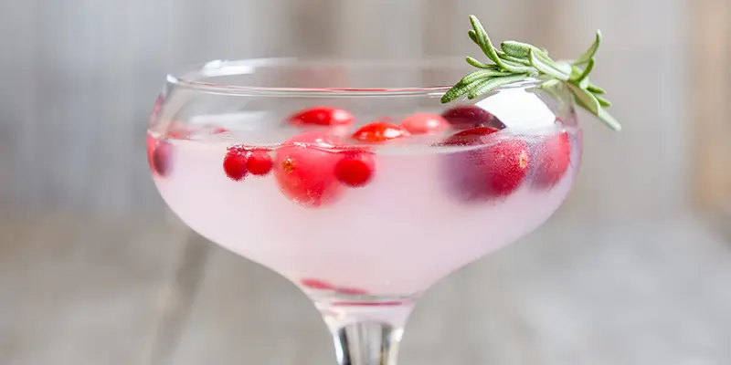 Vanilla & Cranberry Gin Martini Recipe