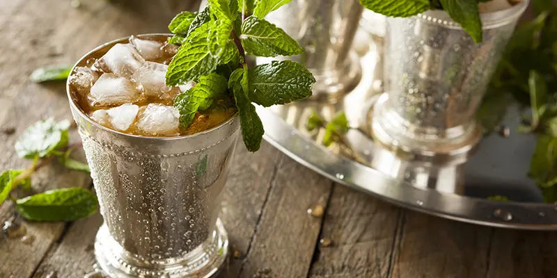Mint Julep Recipe