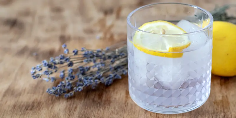 Lavender Gin Sour Recipe