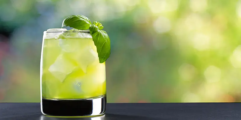 Basil Smash Recipe