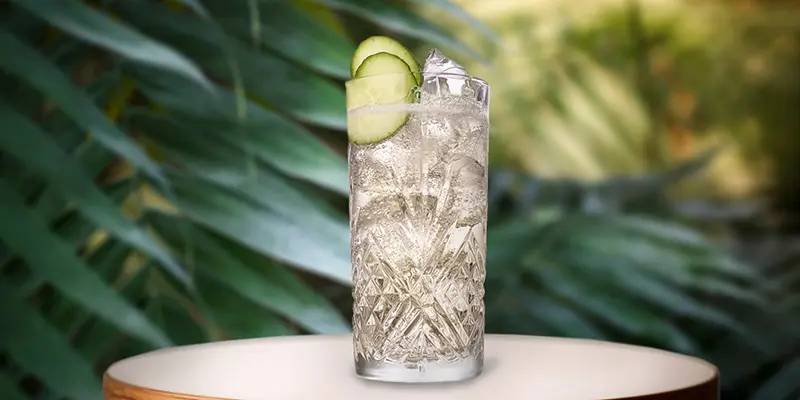 The Lesley Gracie Recipe